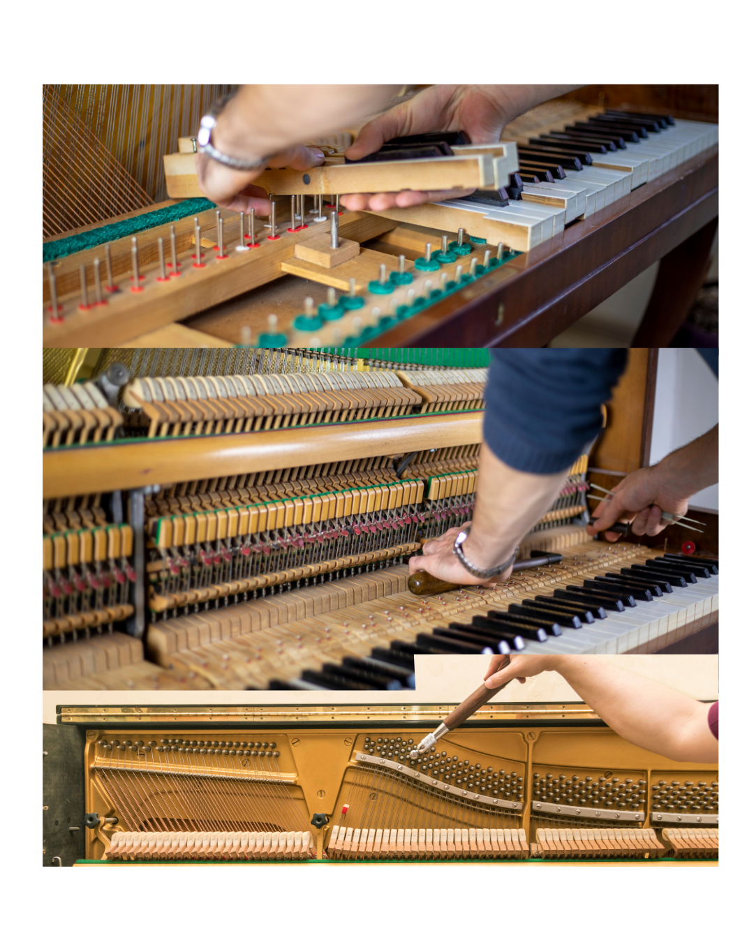 がっつり整調プラン