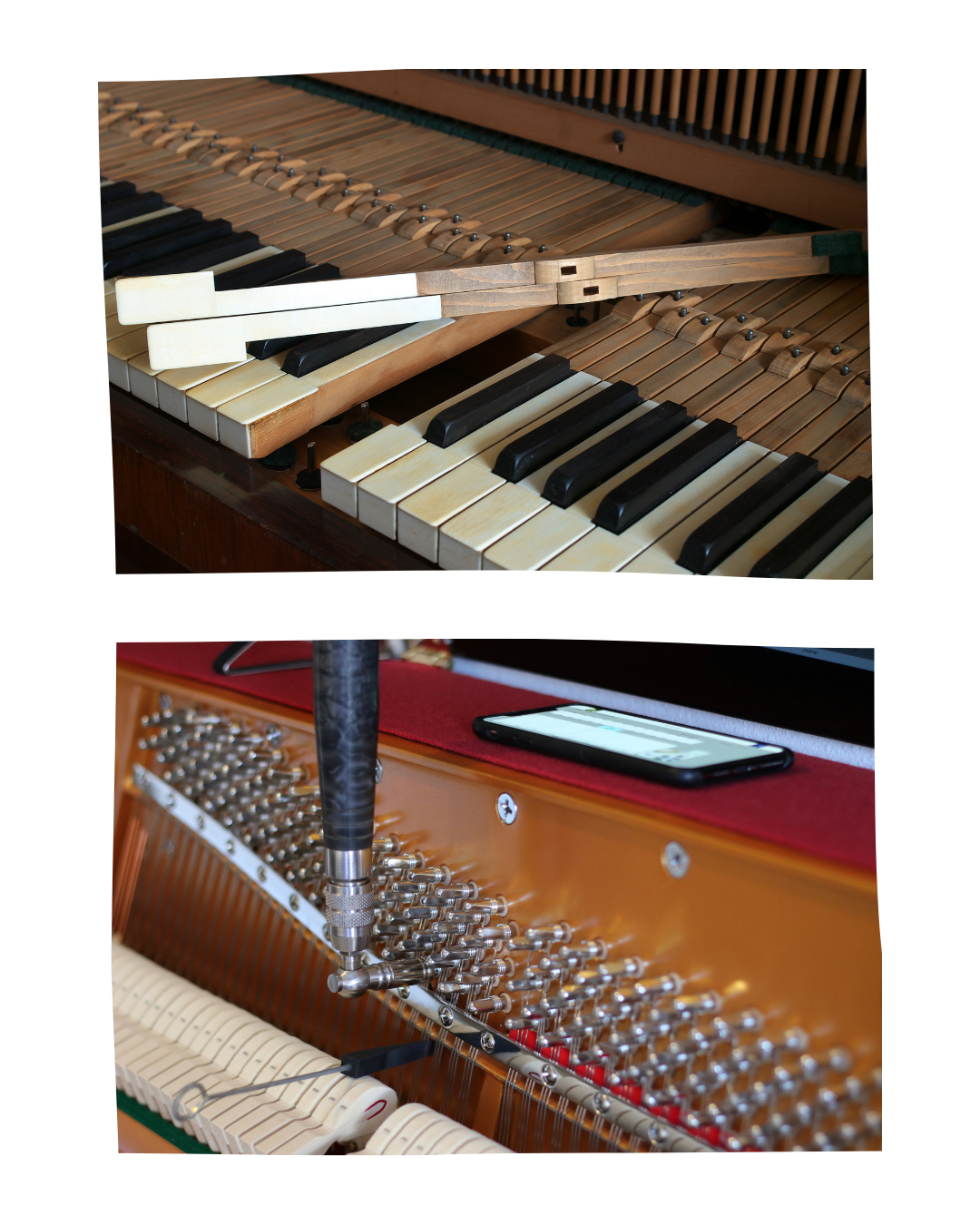 しっかり点検プラン